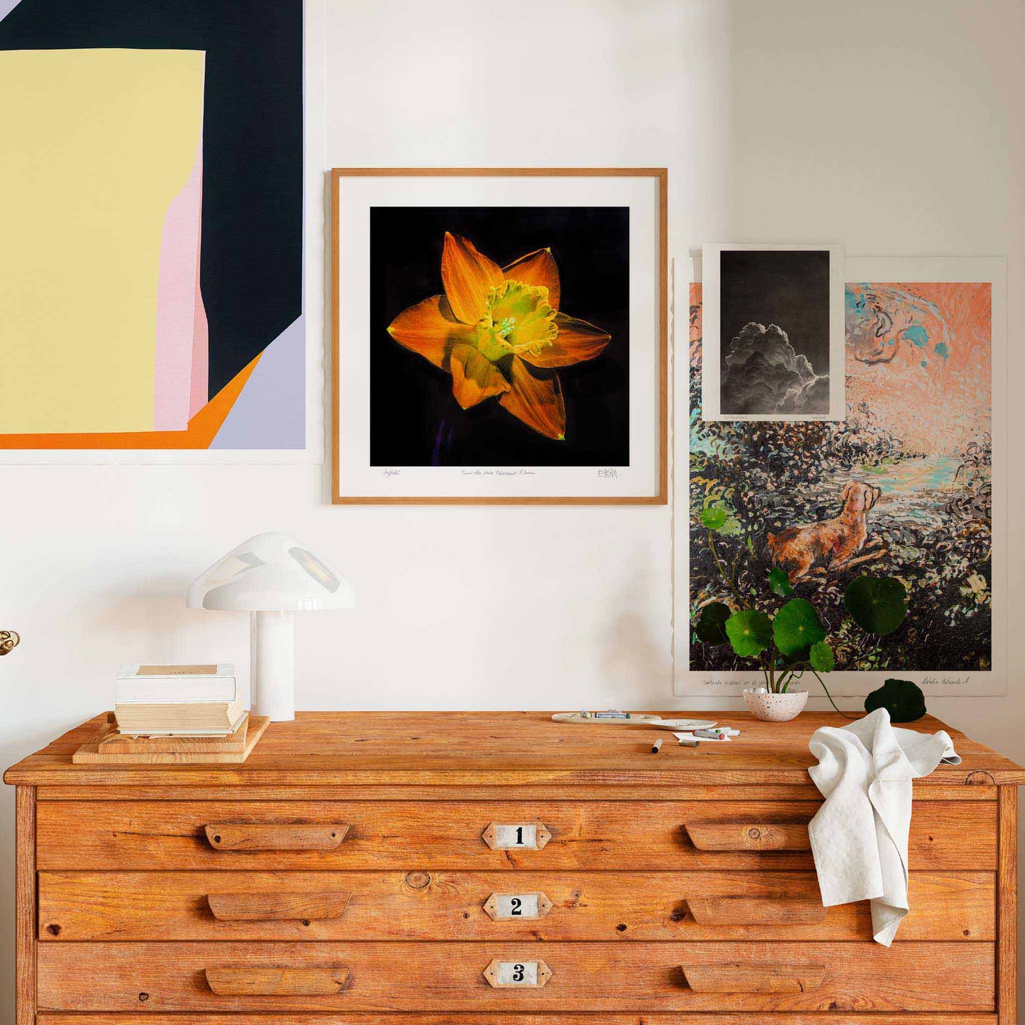 Daffodil botanical art print in a modern home