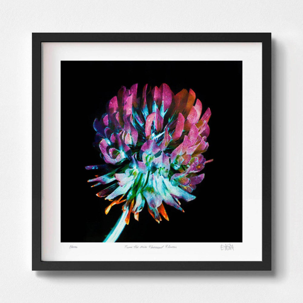 
                  
                    Clover botanical wall art with black frame
                  
                