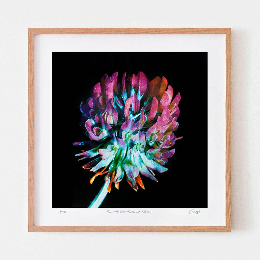 
                  
                    Clover botanical wall art with oak frame
                  
                