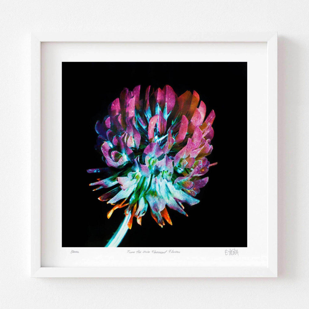 
                  
                    Clover botanical wall art with white frame
                  
                