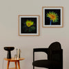 Pair of framed botanical art prints of a buttercup and a dandelion displayed in a living room.