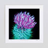 Thistle colourful art print unframed