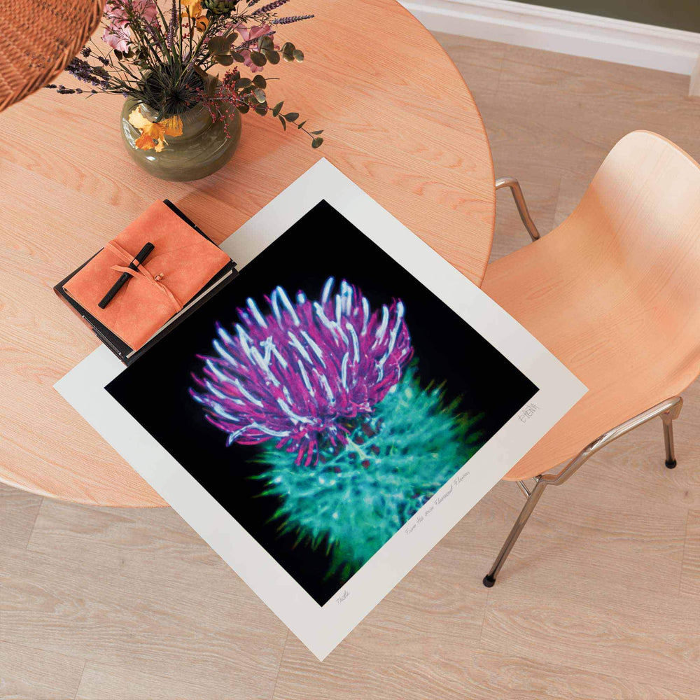 
                  
                    Thistle colourful art print on a table
                  
                