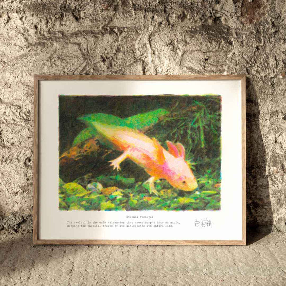 
                  
                    Small axolotl animal art print in a neutral interior.
                  
                