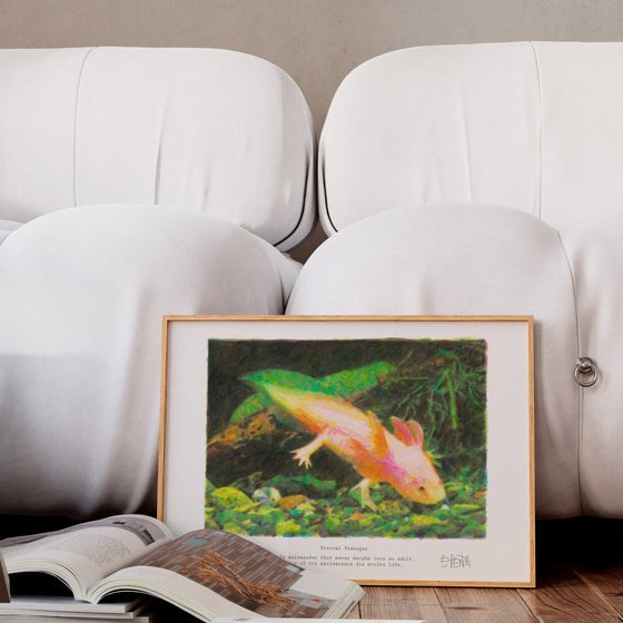 Framed axolotl animal art print in a modern living room.