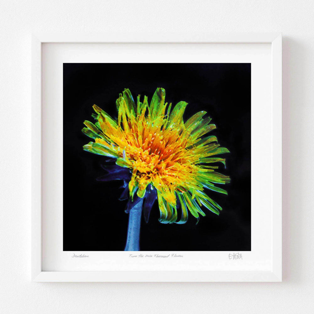 
                  
                    Dandelion floral art print with white frame
                  
                