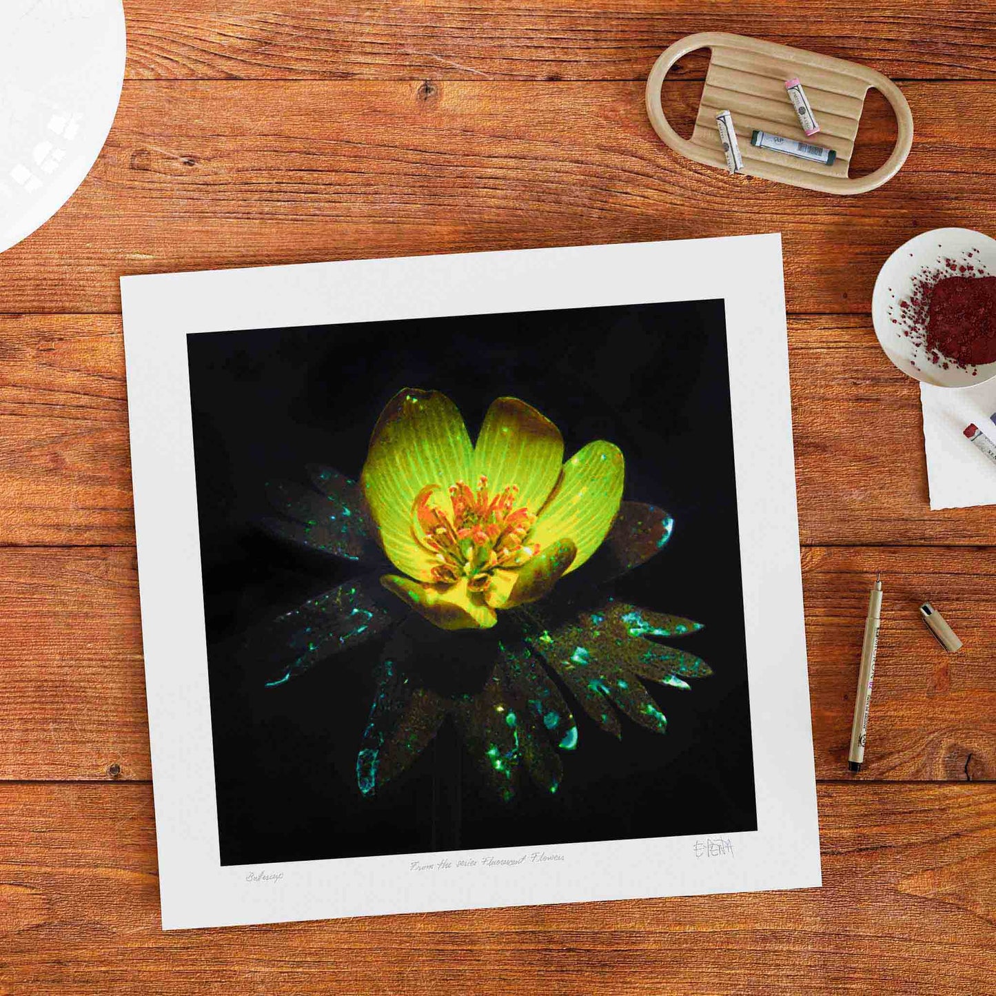 Buttercup flower art print unframed