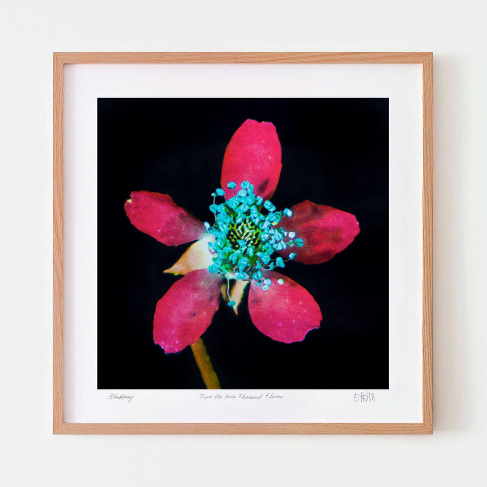 
                  
                    Blackberry flower wall art with oak frame
                  
                