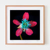 Blackberry flower wall art with oak frame