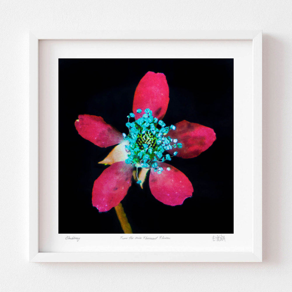 
                  
                    Blackberry flower wall art with white frame
                  
                