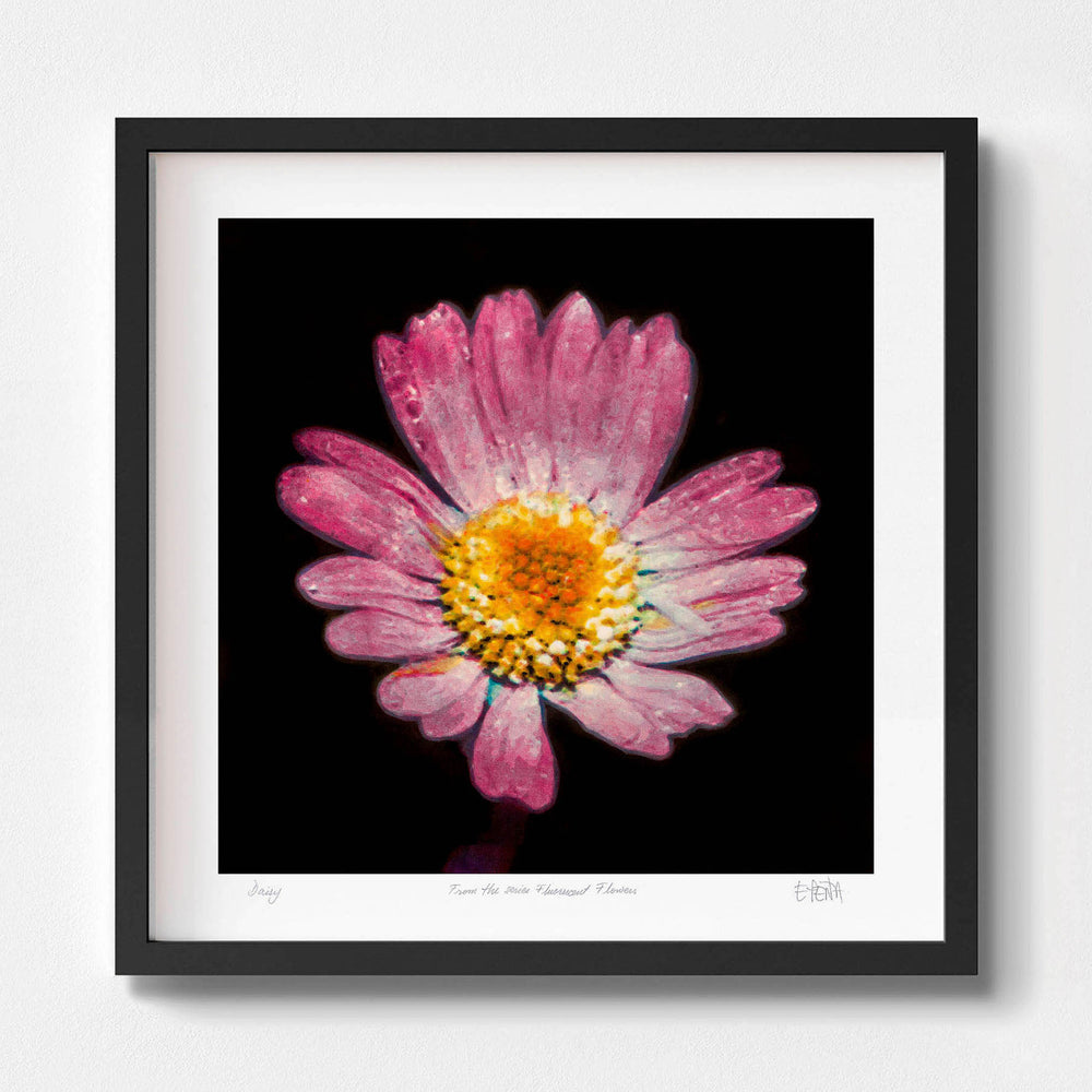 
                  
                    Daisy framed botanical print in black
                  
                