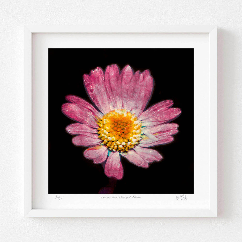 
                  
                    Daisy framed botanical print in white
                  
                