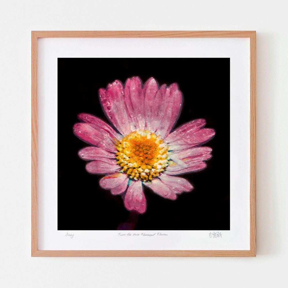 
                  
                    Daisy framed botanical print in oak
                  
                