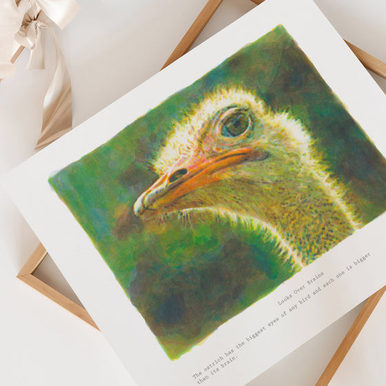 Unframed wall art print of an ostrich in a neutral interior.