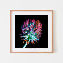  Contemporary wall art poster of a clover flower framed in oak.