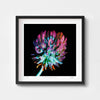 Bold modern wall art print of a clover flower  framed in black.