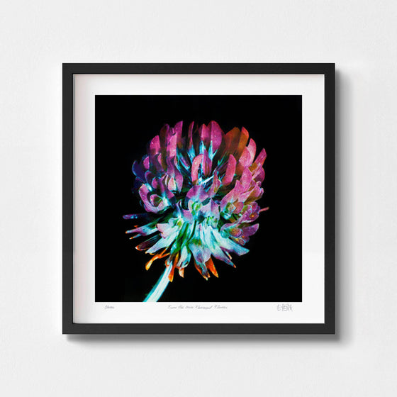 Bold modern wall art print of a clover flower  framed in black.