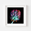 Square contemporary wall art print of a clover flower framed in black.