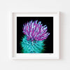 Modern botanical wall art print of a thistle framed in white.