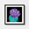 Modern botanical wall art print framed in black.