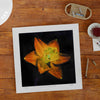 Unframed wall art print of an orange flower in a modern home office.