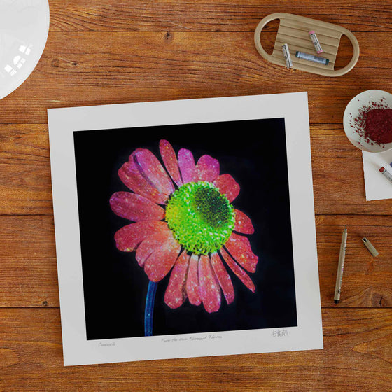 Square wall art print of a camomile flower on a wooden tabletop.