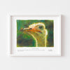 Small wall art print of an ostrich framed in white.