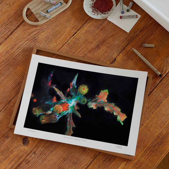 Unframed groundsel wildflower art print on a desk in a home studio.