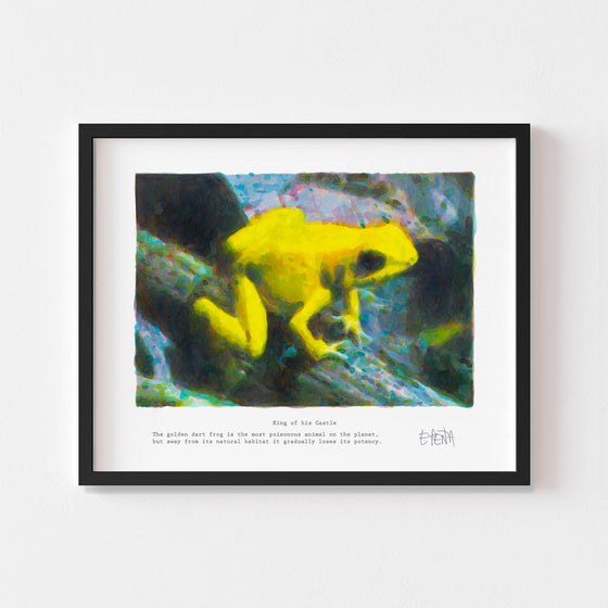 Small wall art print of a golden dart frog framed in black.