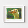 Modern wall art print of an ostrich framed in black.