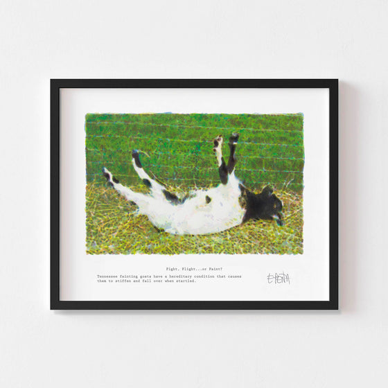 Contemporary animal wall art print of a fainting goat framed in black.