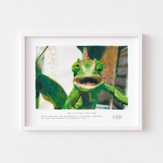 Small modern animal wall art print framed in white.