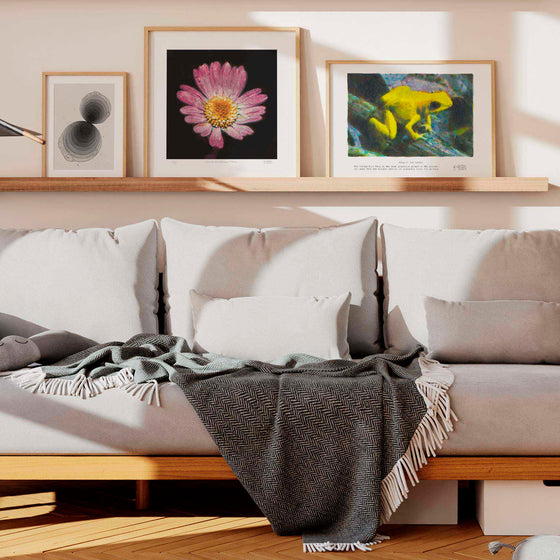 Framed gallery wall art prints displayed on shelves in a modern living room.