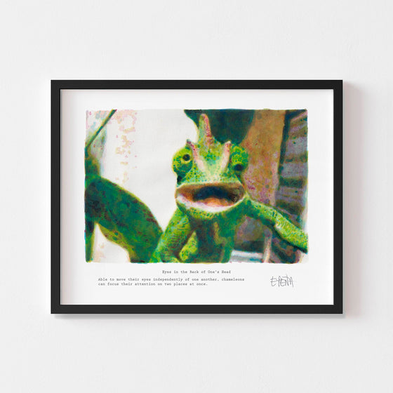 Small chameleon wall art print framed in black.